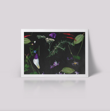 Load image into Gallery viewer, Human Nature