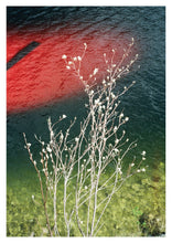 Load image into Gallery viewer, 'Just a glimpse' from the series 'The Lake'
