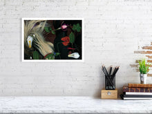 Load image into Gallery viewer, 3983705-932225
