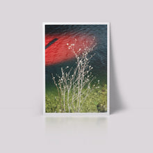 Load image into Gallery viewer, 'Just a glimpse' from the series 'The Lake'
