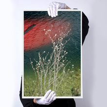 Load image into Gallery viewer, 'Just a glimpse' from the series 'The Lake'
